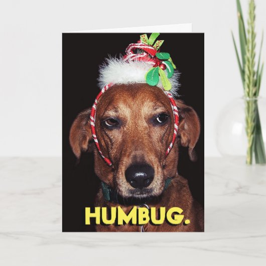 HUMBUGドッグおもしろいクリスマスカード シーズンカード (正面)
