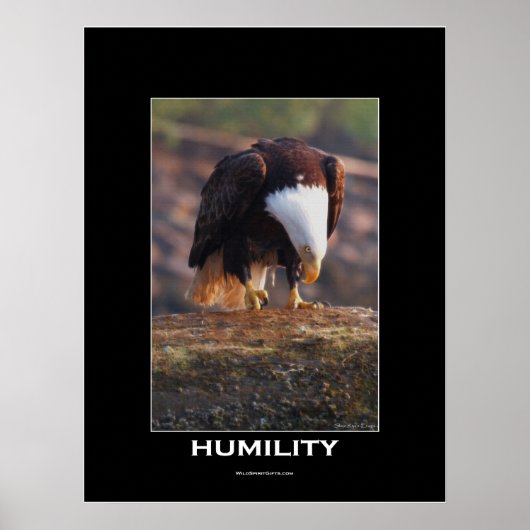 HUMILITY Bald Eagleのポスやる気を起こさせるター ポスター (正面)
