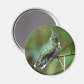 Humm、休憩 マグネット (正面/裏面)