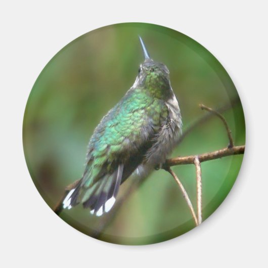 Humm、休憩 マグネット (正面)