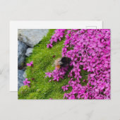 Hummel ポストカード (正面/裏面)