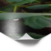 Humming bird フォトプリント            (角)