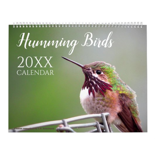Humming Bird Calendar Nature Wildlife Photos カレンダー (カバー)