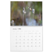 Humming Bird Calendar Nature Wildlife Photos カレンダー (1月 2026)