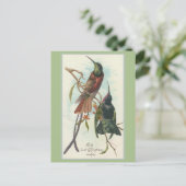 Humming Birdsヴィンテージのクリスマス王 シーズンポストカード (スタンド正面)