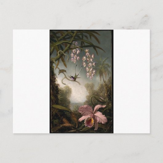 Hummingbirdで蘭とスプレーMart ポストカード (正面)