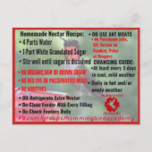 Hummingbirdアカデミー情報ポストカード ポストカード (正面)