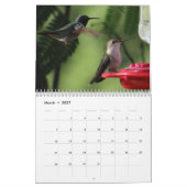 Hummingbirdカレンダー2016 – 必要に応じて年を変更 カレンダー (3月 2027)