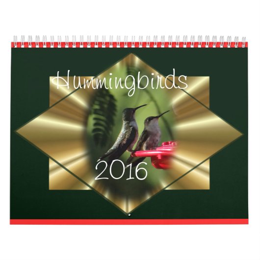 Hummingbirdカレンダー2016 – 必要に応じて年を変更 カレンダー (カバー)