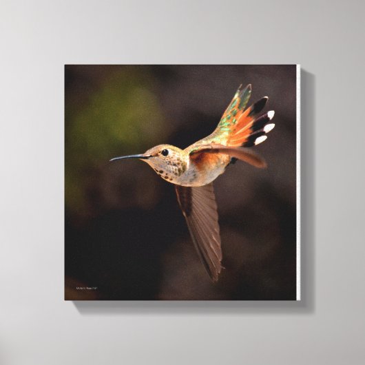 Hummingbirdキャンバス印刷 キャンバスプリント (正面)