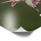 Hummingbirdストレッチ写真プリント フォトプリント (角)