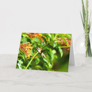 Hummingbirdノートカード()  サンキューカード