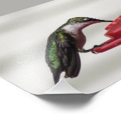Hummingbirdフォトプリント7x5 フォトプリント (角)