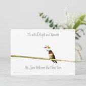 Hummingbirdベビーシャワー招待状男女兼用: 招待状 (スタンド正面)