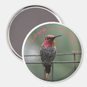 Hummingbirdマグネットの愛のポイントのキャプション マグネット (正面/裏面)