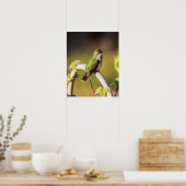 Hummingbird休息16 x 20ポスター ポスター (キッチン)