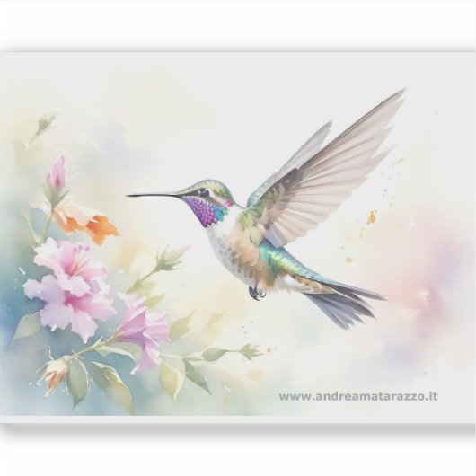 Hummingbird シール (正面)
