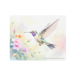 Hummingbird メタルプリント