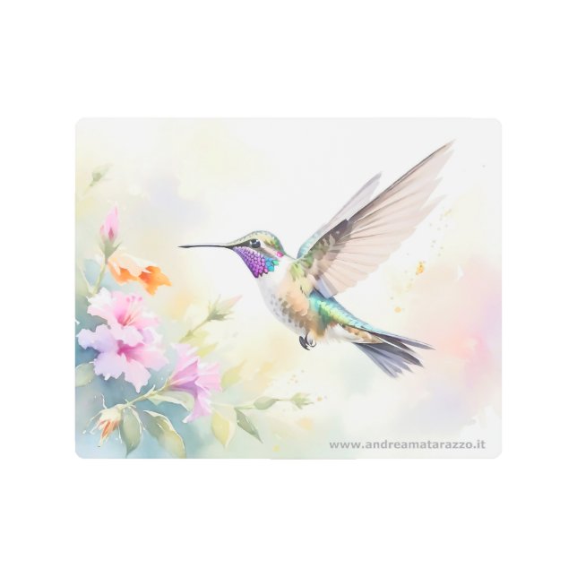 Hummingbird メタルプリント (正面)