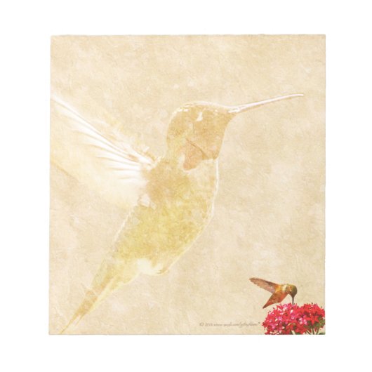 Hummingbird – メモ帳/メモ帳 ノートパッド (正面)