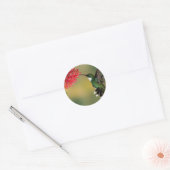 hummingbird 1.jpg ラウンドシール (封筒)