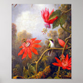 Hummingbird and Passiflora by Martin Johnson Heade ポスター (正面)