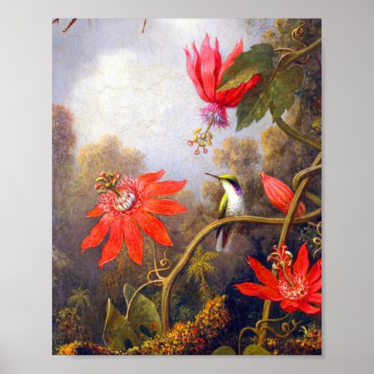 Hummingbird and Passiflora by Martin Johnson Heade ポスター (正面)