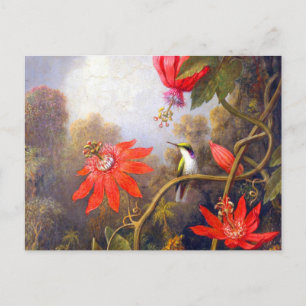 Hummingbird and Passiflora by Martin Johnson Heade ポストカード