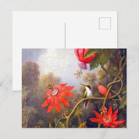 Hummingbird and Passiflora by Martin Johnson Heade ポストカード (正面/裏面)
