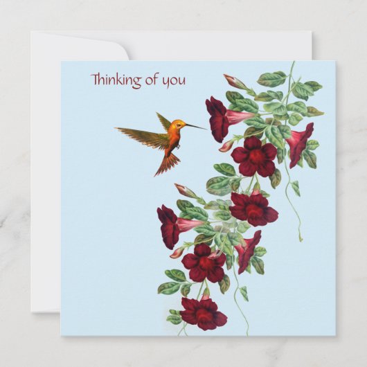 Hummingbird and Red Flowers ノートカード (正面)