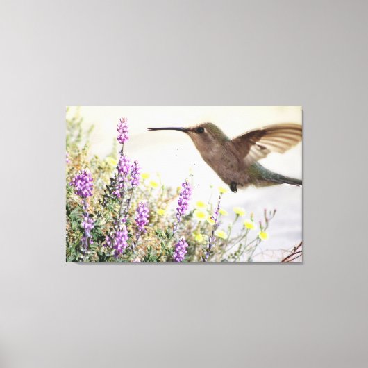 Hummingbird and Wildflowers Digital Art キャンバスプリント (正面)