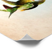 Hummingbird Artwork no. 15ヴィンテージバードアート ポスター (角)