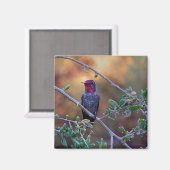 Hummingbird at sunset マグネット (正面/裏面)