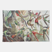 Hummingbird Bird Wildlife Classic Painting キッチンタオル (横)