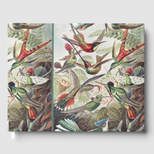 Hummingbird Bird Wildlife Classic Painting ゲストブック (正面)