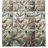 Hummingbird Bird Wildlife Classic Painting シャワーカーテン (正面)