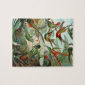 hummingbird bird wildlife classic painting ジグソーパズル (横)