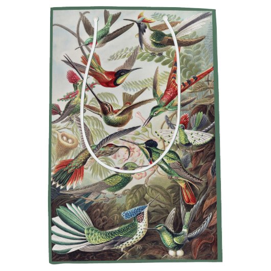 Hummingbird Bird Wildlife Classic Painting ミディアムペーパーバッグ (正面)
