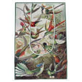 Hummingbird Bird Wildlife Classic Painting ミディアムペーパーバッグ (裏面)