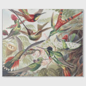 Hummingbird Bird Wildlife Classic Painting ラッピングペーパー (フラット)