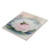 Hummingbird Chlorostilbon Portmanni by Gould タイル (側面)