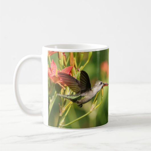 Hummingbird Coffee Mug II by BirdingCollectibles コーヒーマグカップ (左)