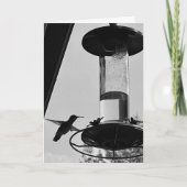 Hummingbird feeder カード (正面)