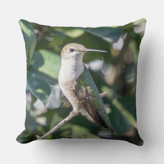 Hummingbird Fine Art Gift for Mom | Throw Pillow  クッション (正面)