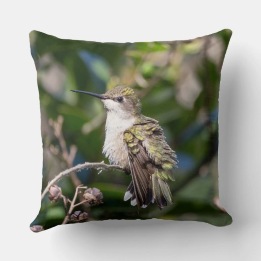 Hummingbird Fine Art Throw Pillow Gift for Mom クッション (裏面)