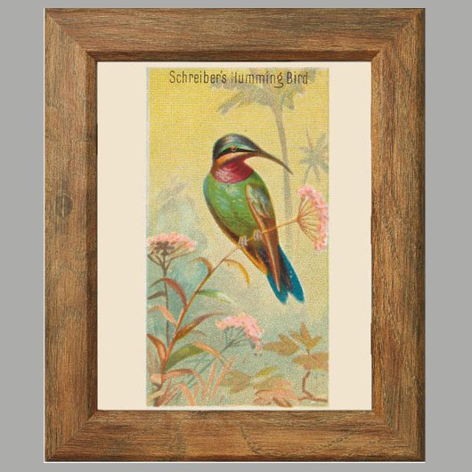 Hummingbird, Gallery Wall Art Set of 6, 5/6 Poster ポスター