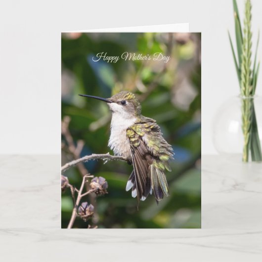 Hummingbird Haven Signature Mother's Day Card  カード (正面)