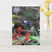 Hummingbird in flight赤い花 カード (黄色い花)