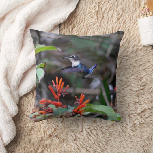 Hummingbird in flight赤い花 クッション (ブランケット)
