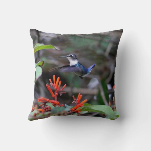 Hummingbird in flight赤い花 クッション (裏面)